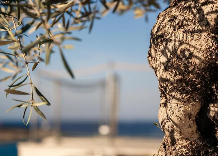 Xvi - Adults Only Hotel Naxxar