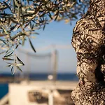 Xvi - Adults Only Hotel Naxxar