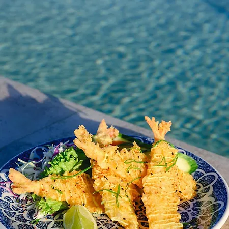 Xvi - Adults Only * ナッシャー