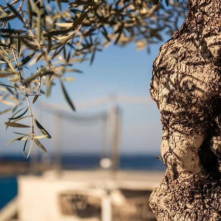 Xvi - Adults Only Hotel Naxxar